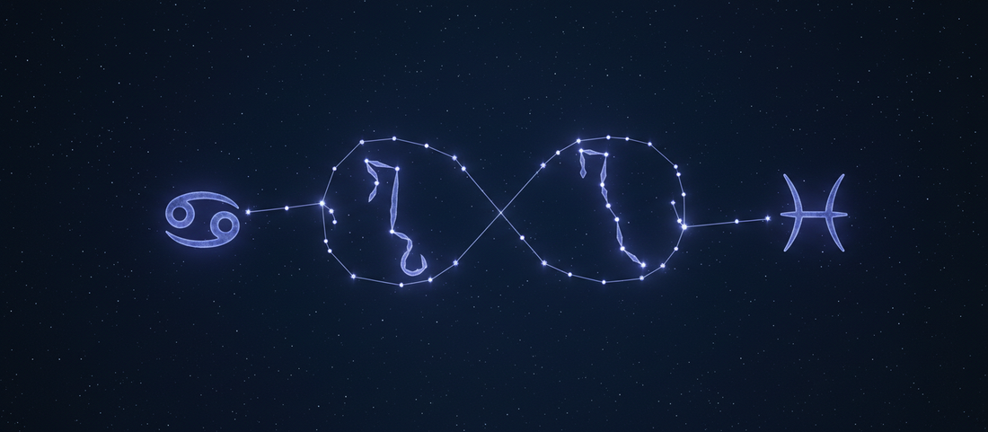 Compatibilidad de los signos de agua en amor y amistad